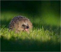 /album/mojabiologia/picture5-jpg/