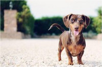 /album/mojabiologia/picture6-jpg/