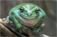 /album/mojabiologia/picture9-jpg/