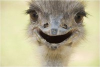 /album/mojabiologia/picture10-jpg/