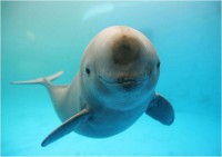 /album/mojabiologia/picture20-jpg/